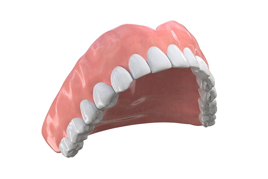 Dental dental model showcasing how dental dentures look. Dental Denture